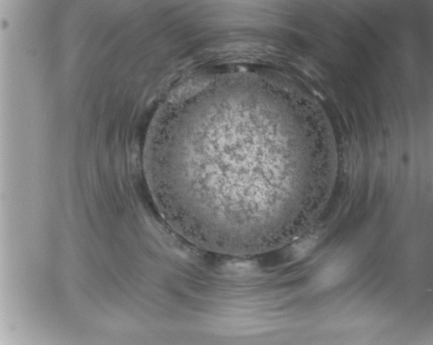 X0000058140283200509261320