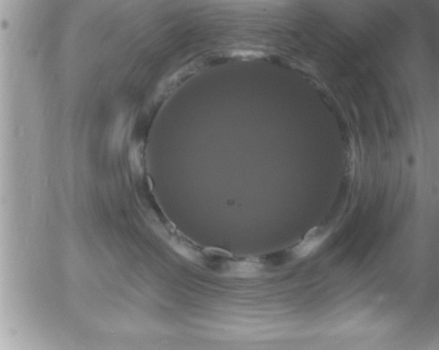 X0000058140286200509261320