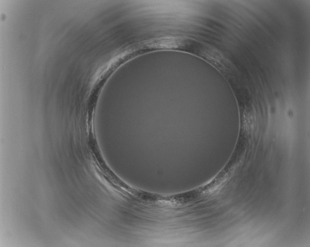 X0000058140302200509261319