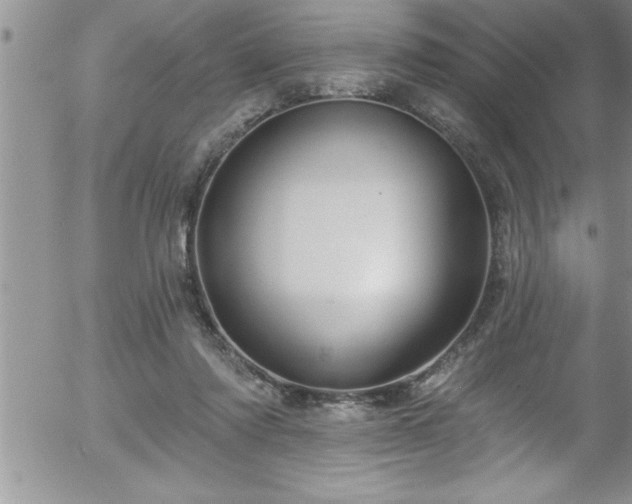 X0000058140310200509261319