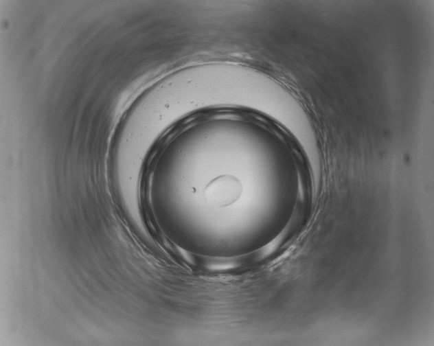 X0000058140340200509261317