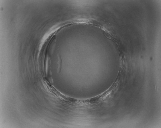 X0000058140343200509261317