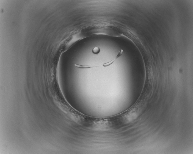 X0000058140362200509261318