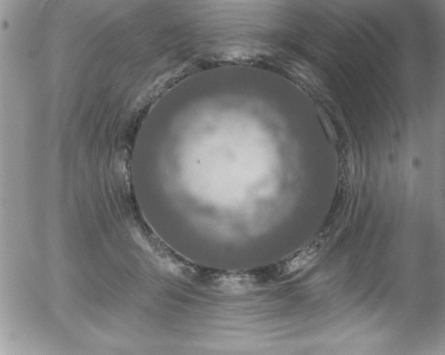 X0000058140415200509261317