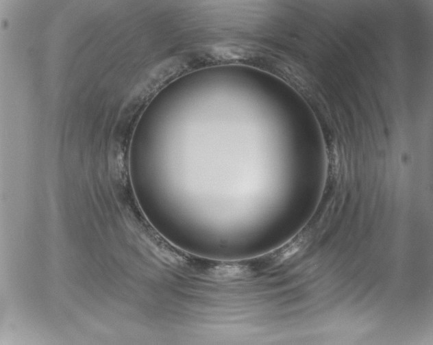 X0000058140418200509261317