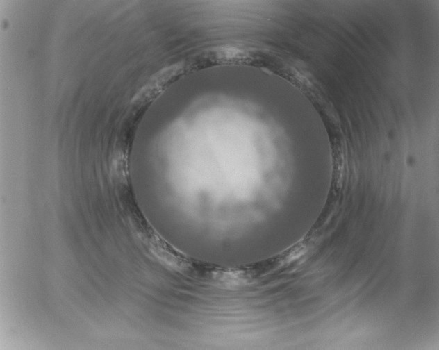 X0000058140419200509261317