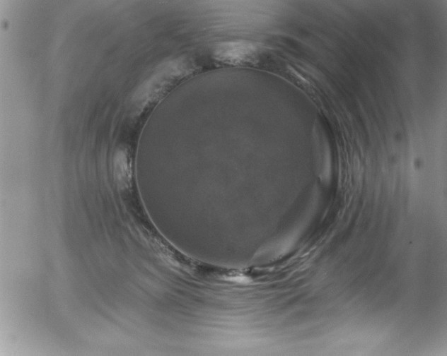 X0000058140420200509261317