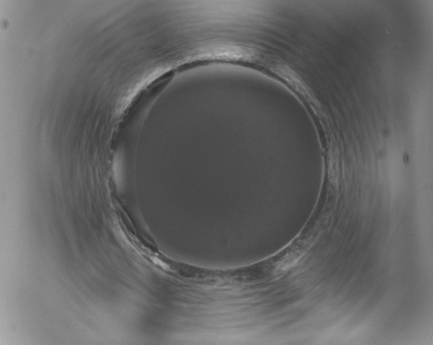 X0000058140434200509261316