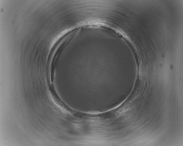X0000058140438200509261316