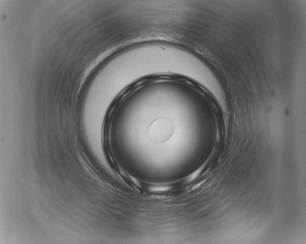 X0000058140440200509261316
