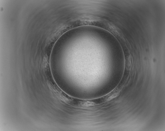 X0000058140463200509261316