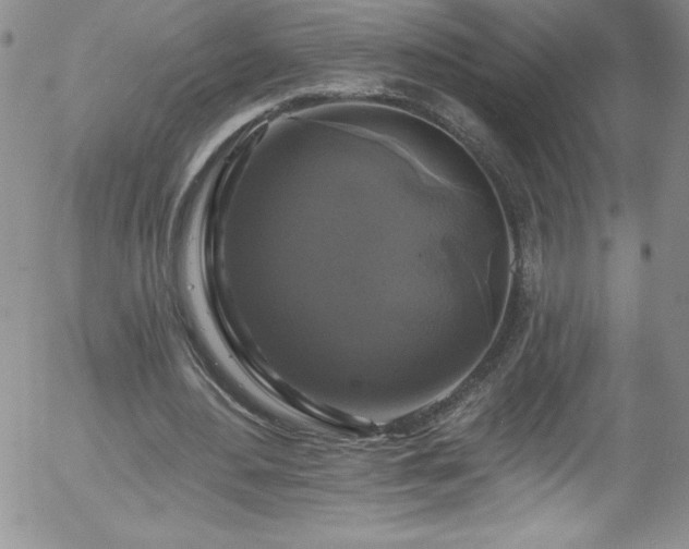 X0000058140484200509261316