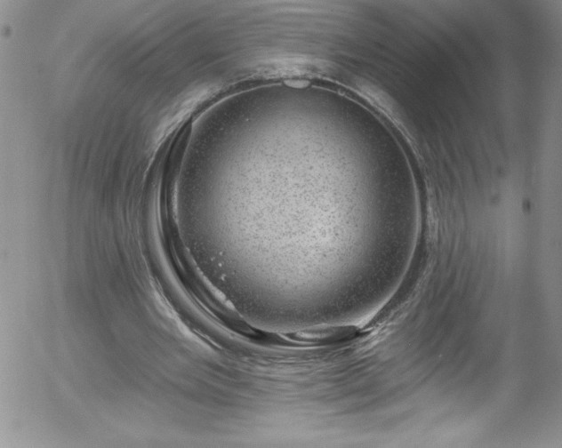 X0000058140485200509261316
