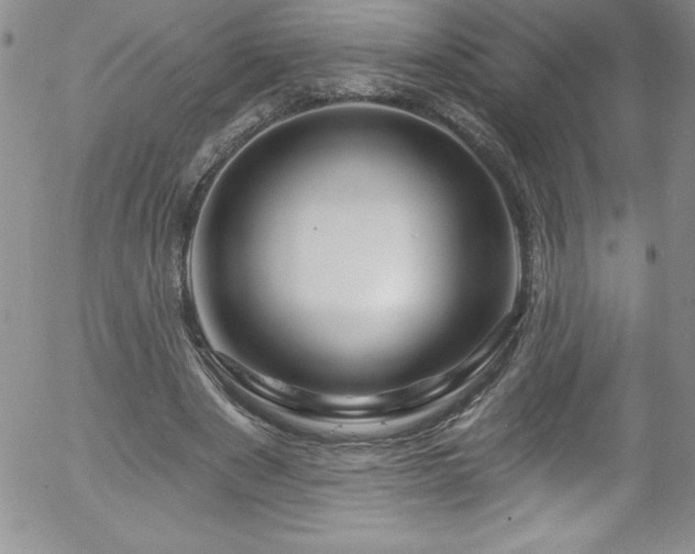 X0000058140489200509261315