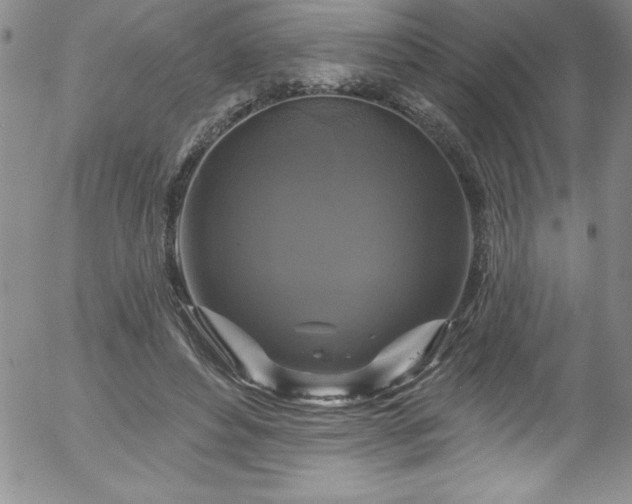 X0000058140496200509261315