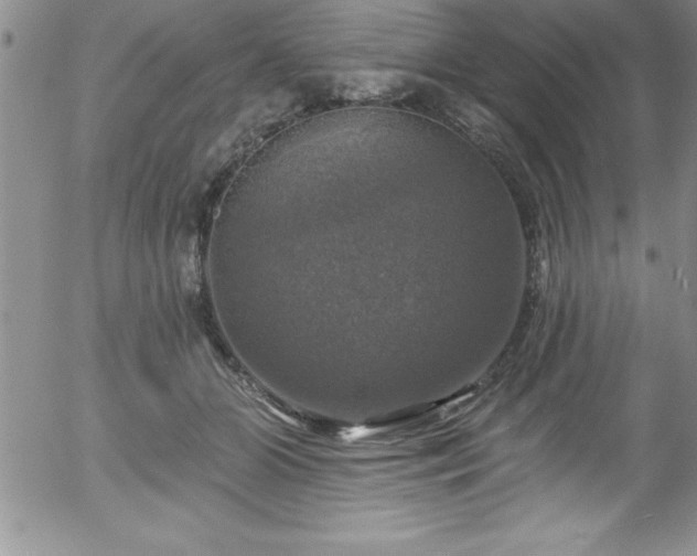 X0000058140510200509261315