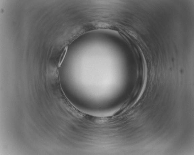 X0000058140521200509261315