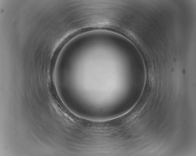 X0000058140532200509261314
