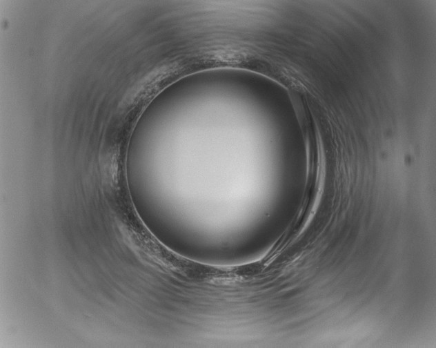 X0000058140595200509261314
