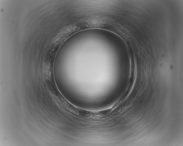 X0000058140599200509261314