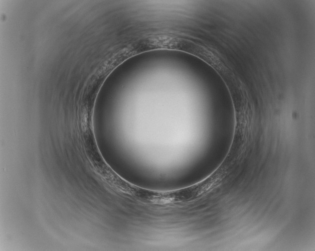 X0000058140602200509261314