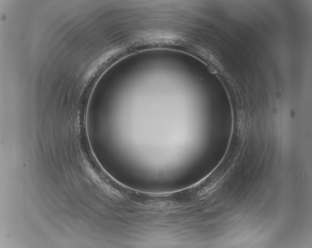 X0000058140629200509261312