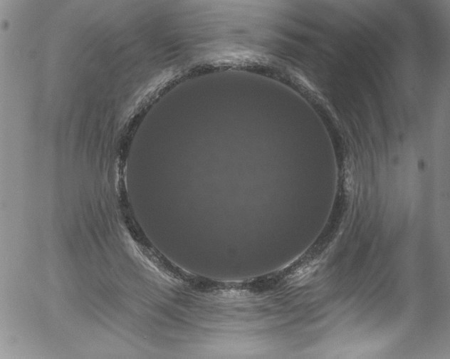 X0000058140637200509261313