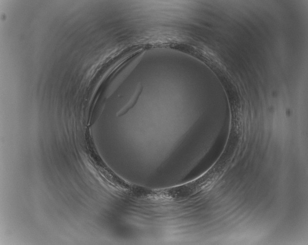X0000058140644200509261313