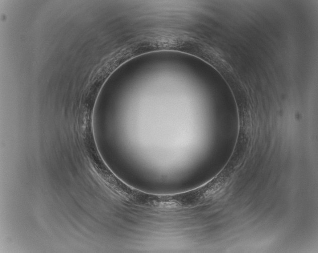 X0000058140645200509261313