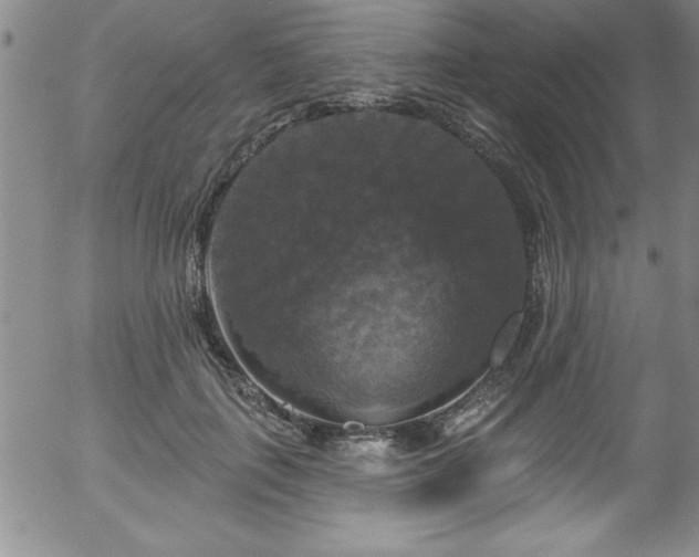 X0000058140651200509261313