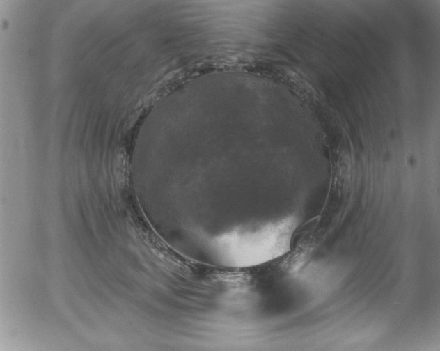 X0000058140659200509261313
