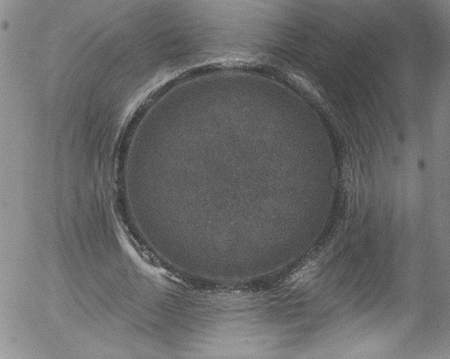 X0000058140730200509261311