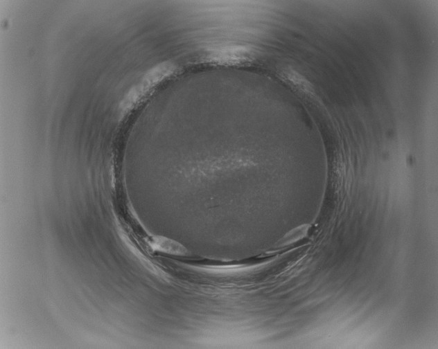 X0000058140734200509261311