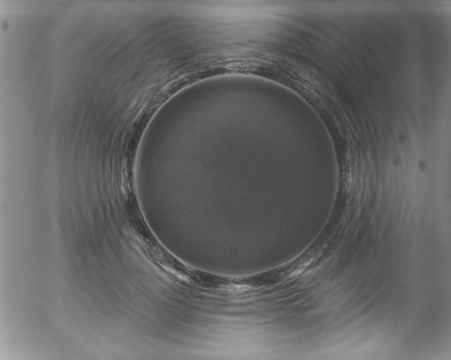 X0000058140748200509261311