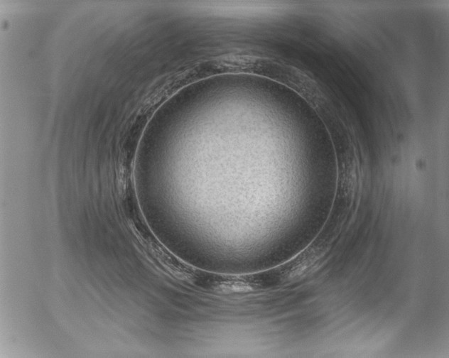 X0000058140749200509261311