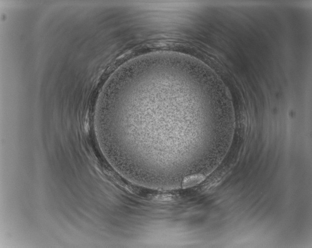 X0000058140751200509261311
