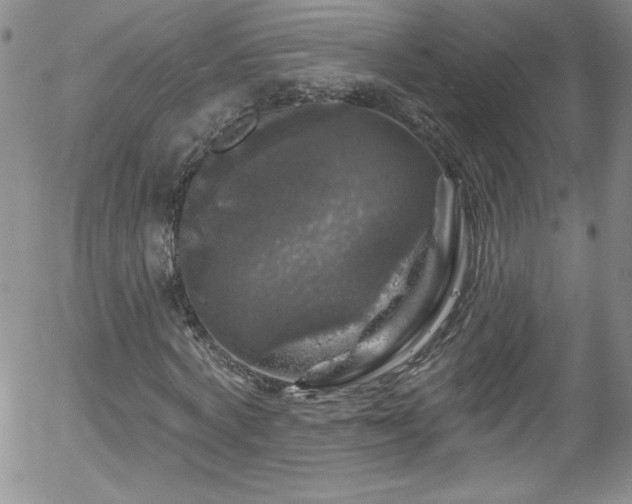 X0000058140772200509261311