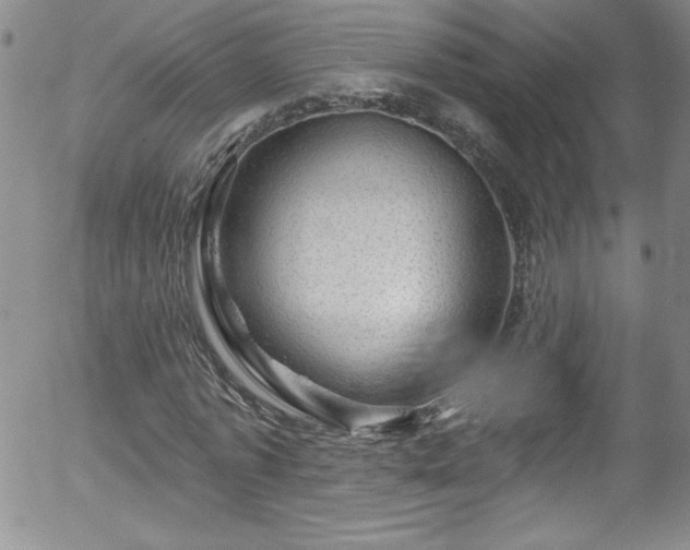 X0000058140773200509261311
