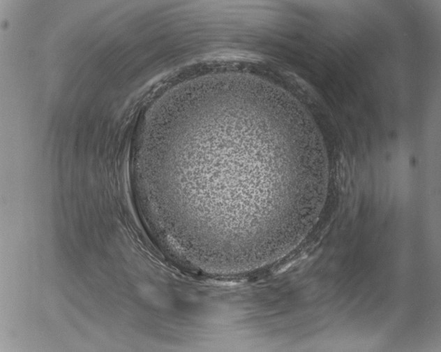 X0000058140821200509261309
