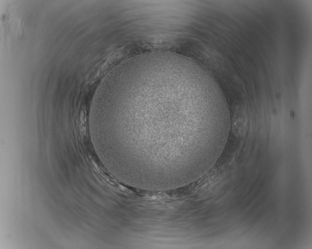 X0000058140866200509261309