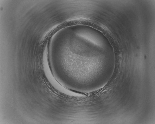 X0000058140872200509261309