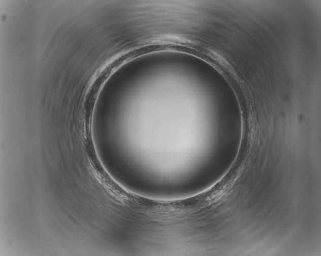 X0000058140931200509261308
