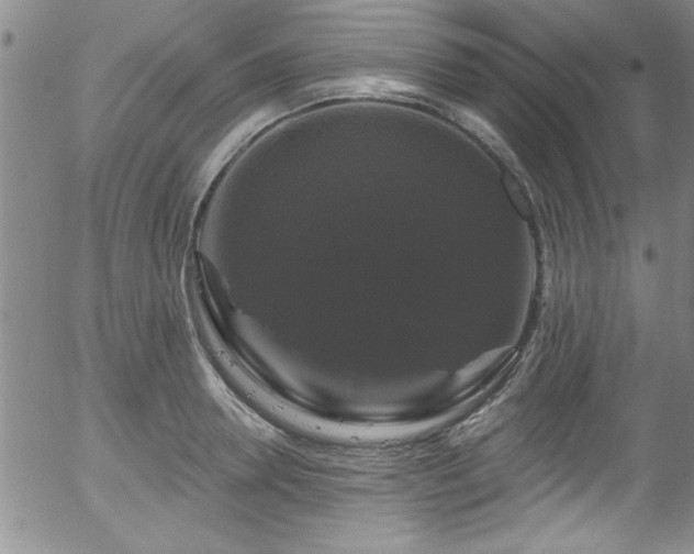 X0000058140946200509261308