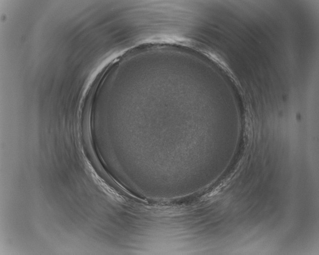 X0000058140976200509261307