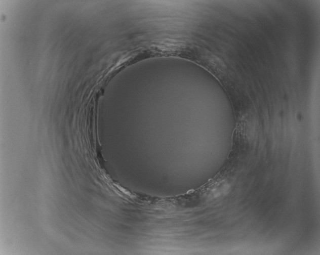 X0000058141009200509261306