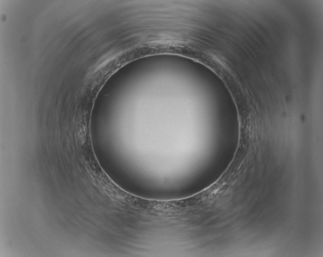 X0000058141015200509261306