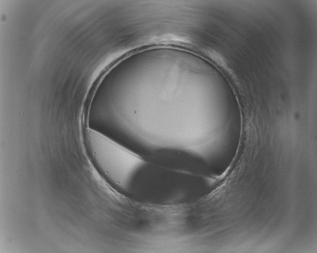 X0000058141032200509261306