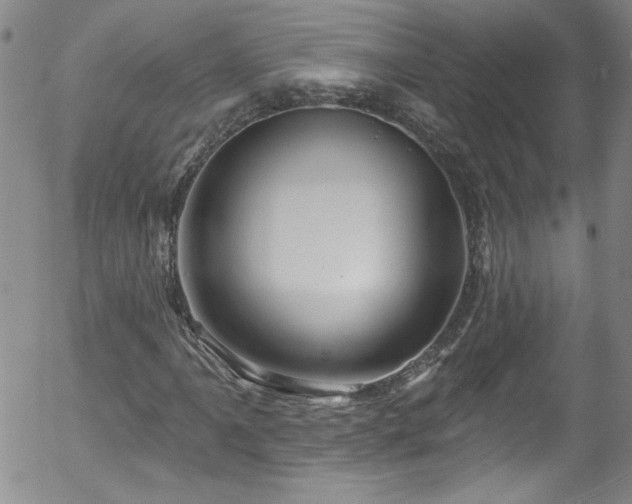 X0000058141061200509261306