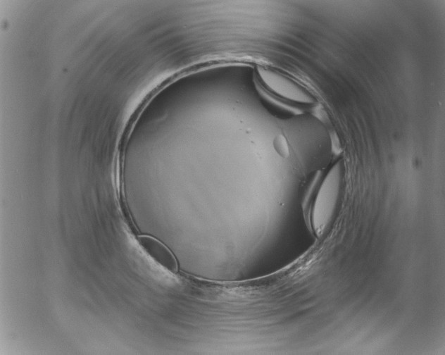 X0000058141084200509261305