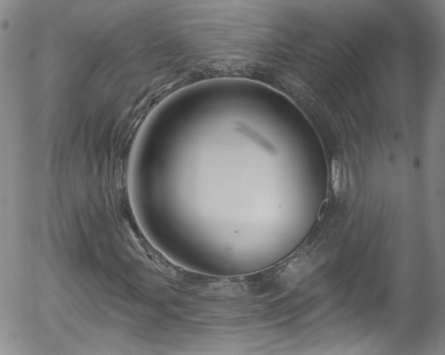 X0000058141107200509261304
